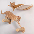 Cat Hammock Wall Mounted Cat Shelf with Two Steps R5635