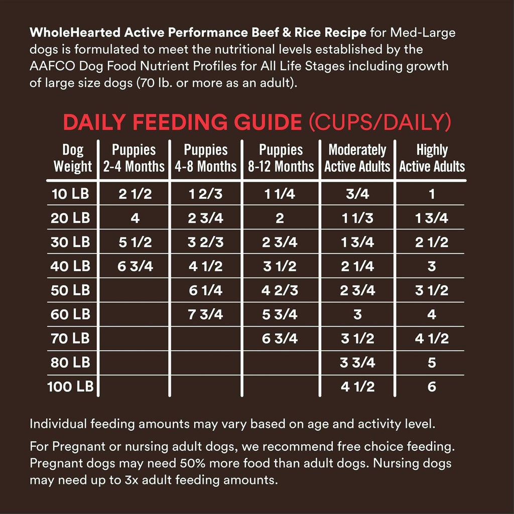 High-Protein Beef & Rice Recipe Dry Dog Food G784