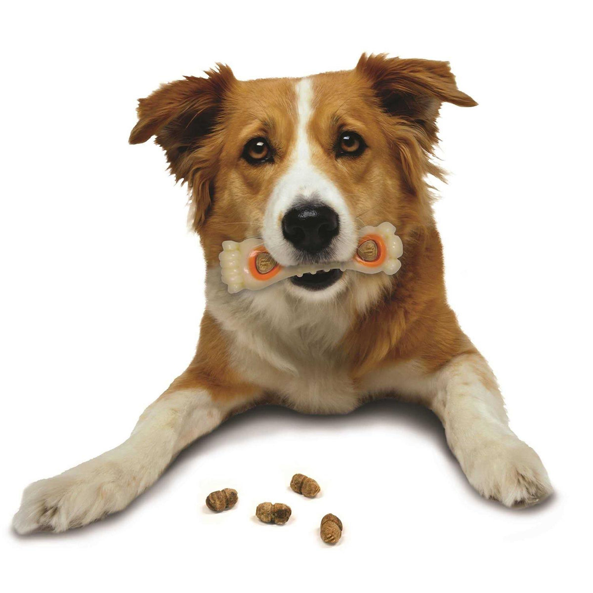 Dog Treat Refills L11742