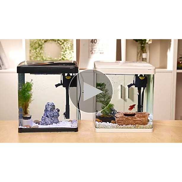 2 Gallon Glass Aquarium with Filter and Light X800625