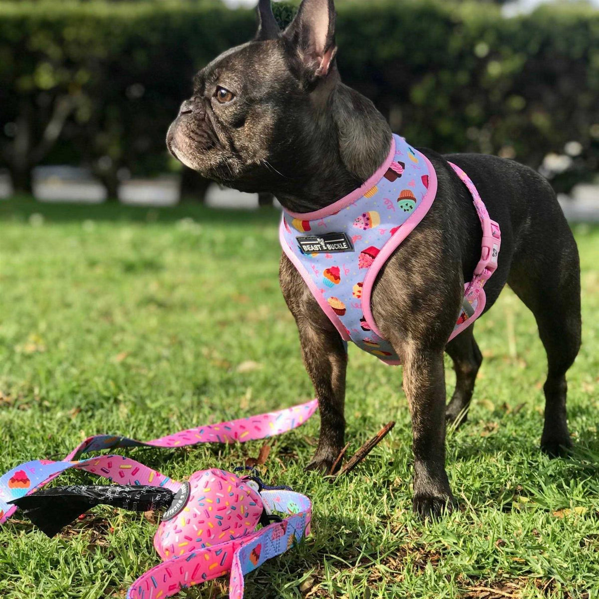 Reversible Dog Harness W136848