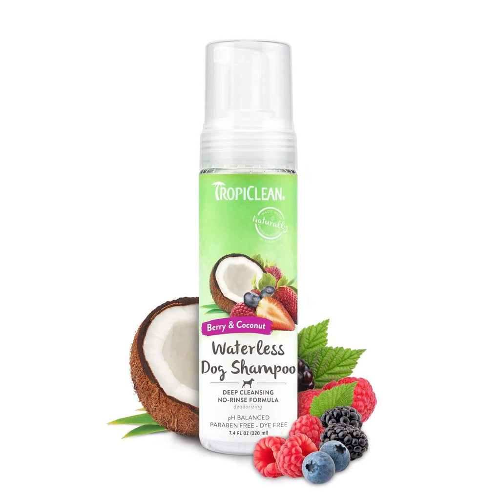Waterless Shampoo L321