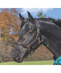 Black Leather Halter Z632