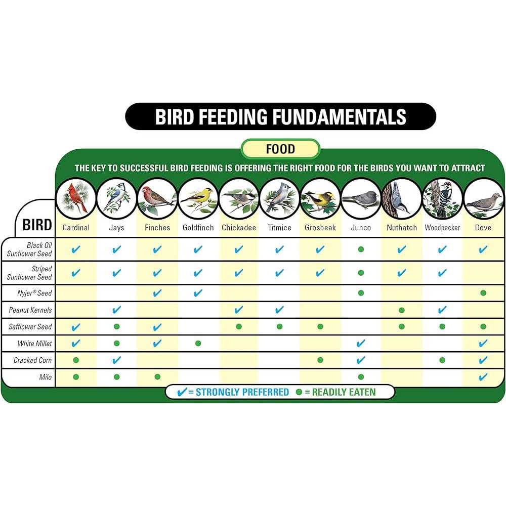 Nyjer Seed Wild Bird Food L9409