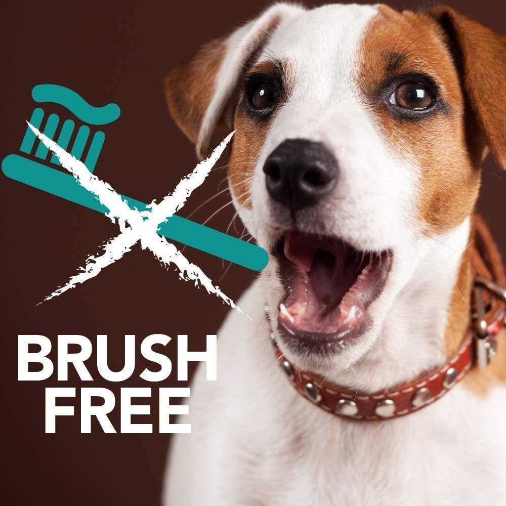 Brush-Free Oral Gel for Pets W761