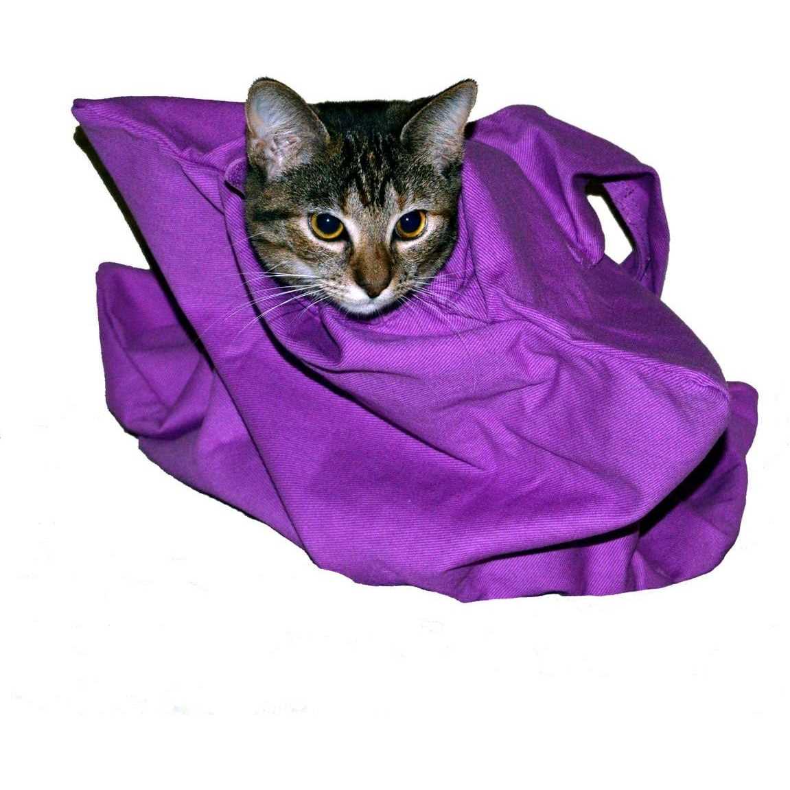 Cozy Comfort Carrier V167