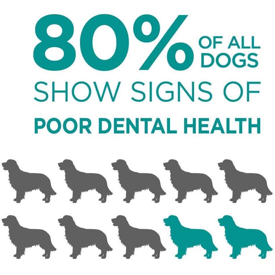 Brush-Free Oral Gel for Pets W761