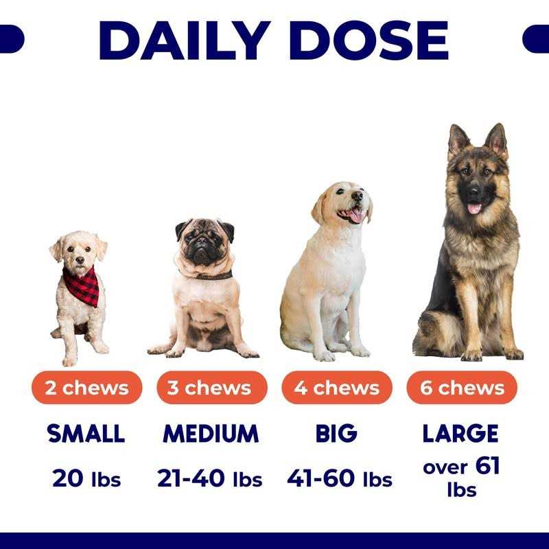 Omega 3 Fish Oil Dog Treats N768