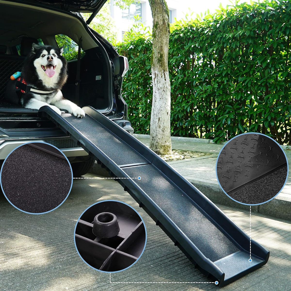 62"L Heavy Duty Folding Dog Ramp F4832