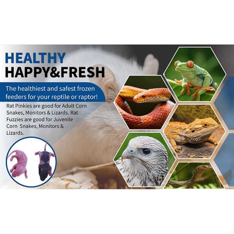 Frozen Mice Feeders Combo Pack, 150 Count H44160