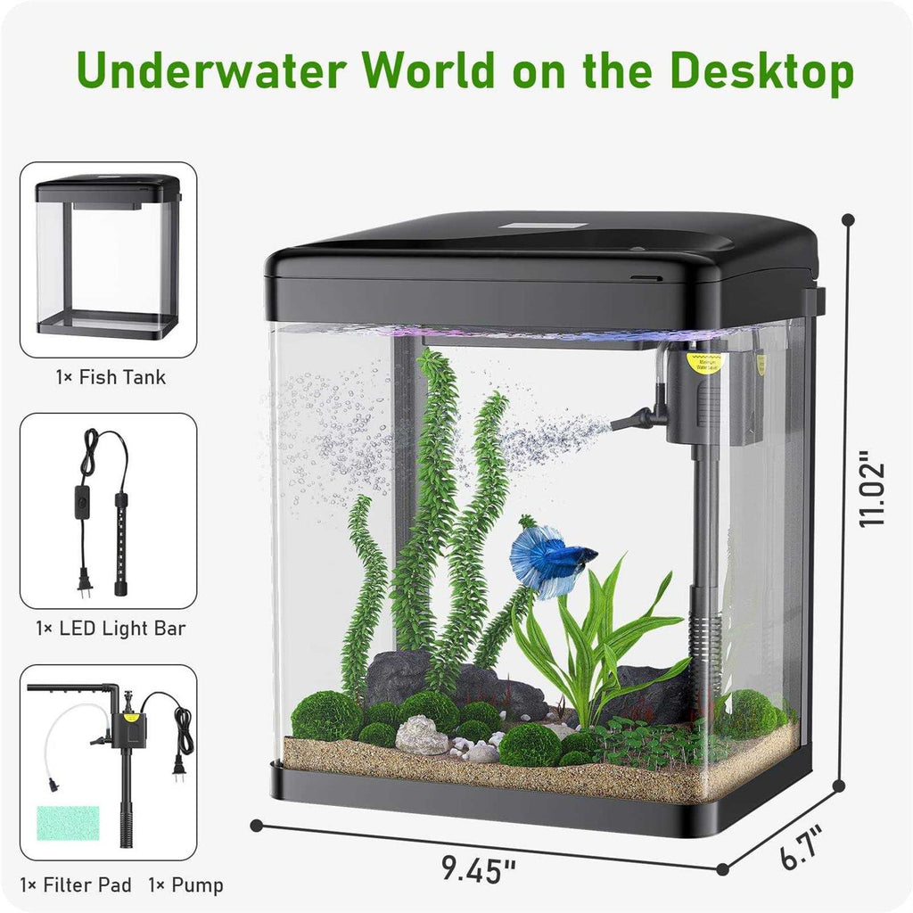 2 Gallon Glass Aquarium with Filter and Light X800625