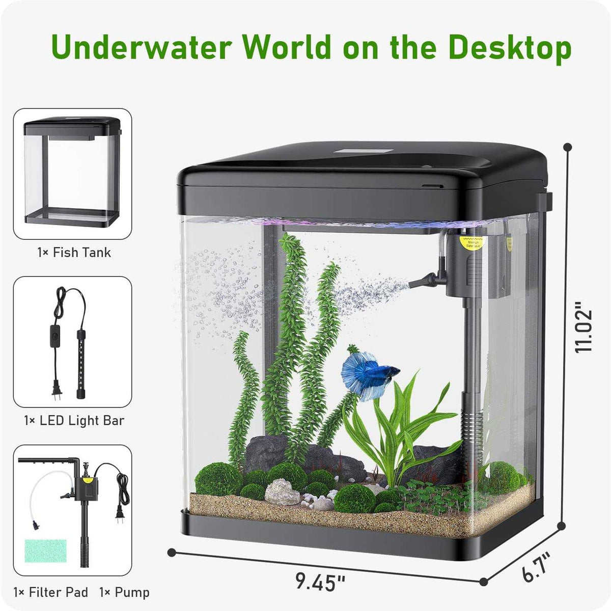 2 Gallon Glass Aquarium with Filter and Light X800625