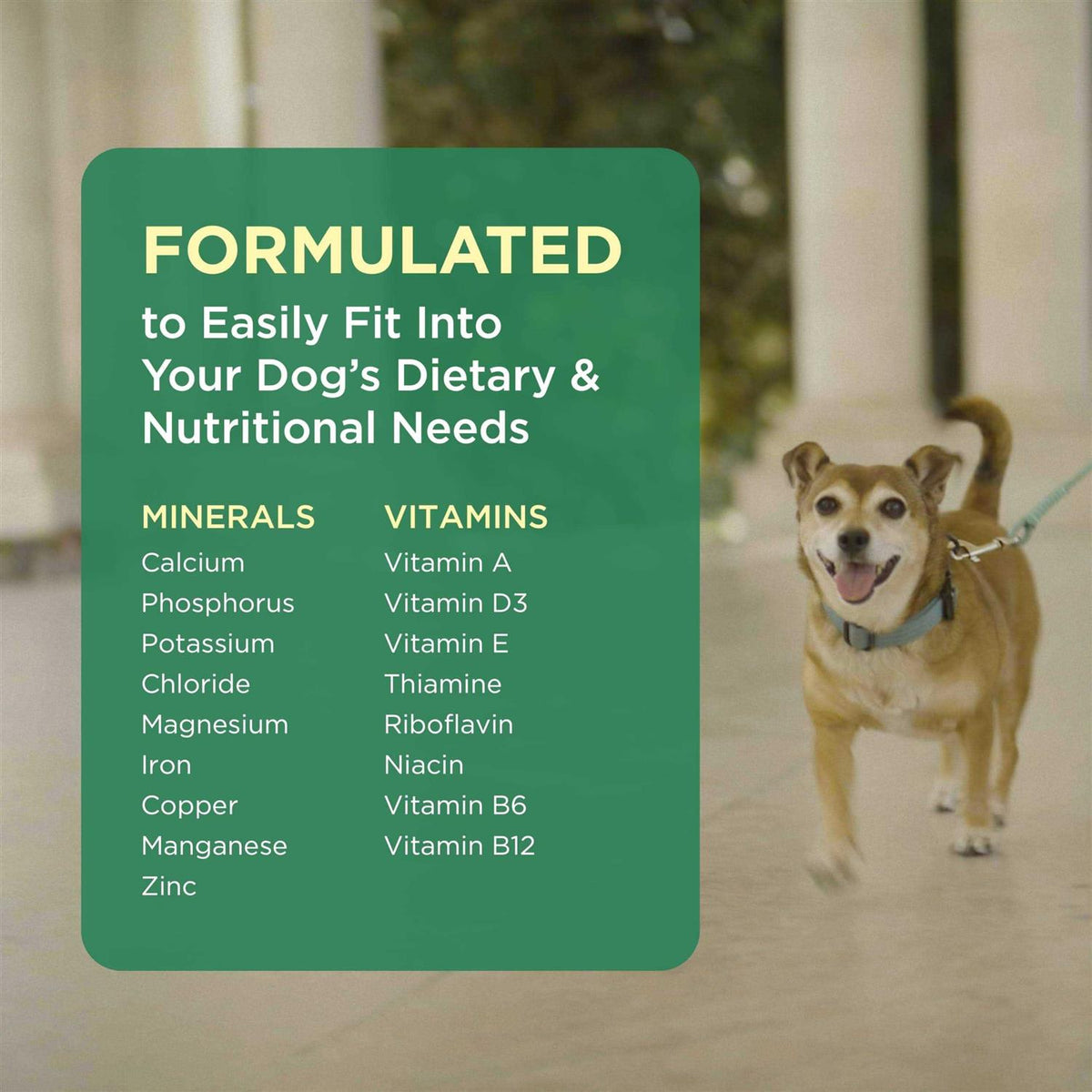 Pet Tabs for Dogs N3513