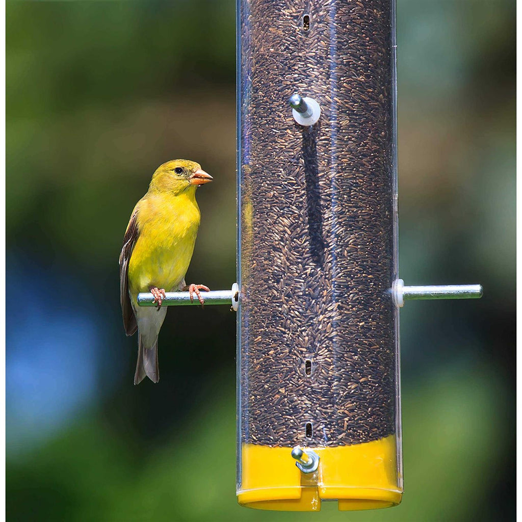 Nyjer Seed Wild Bird Food L9409