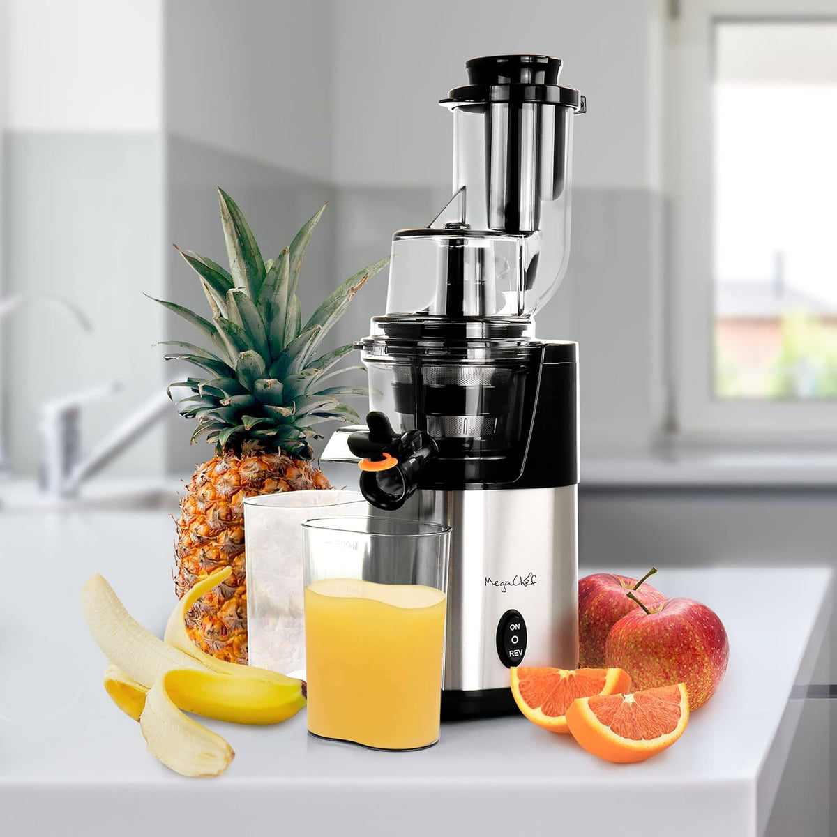 Chrome Silver Slow Juicer J771