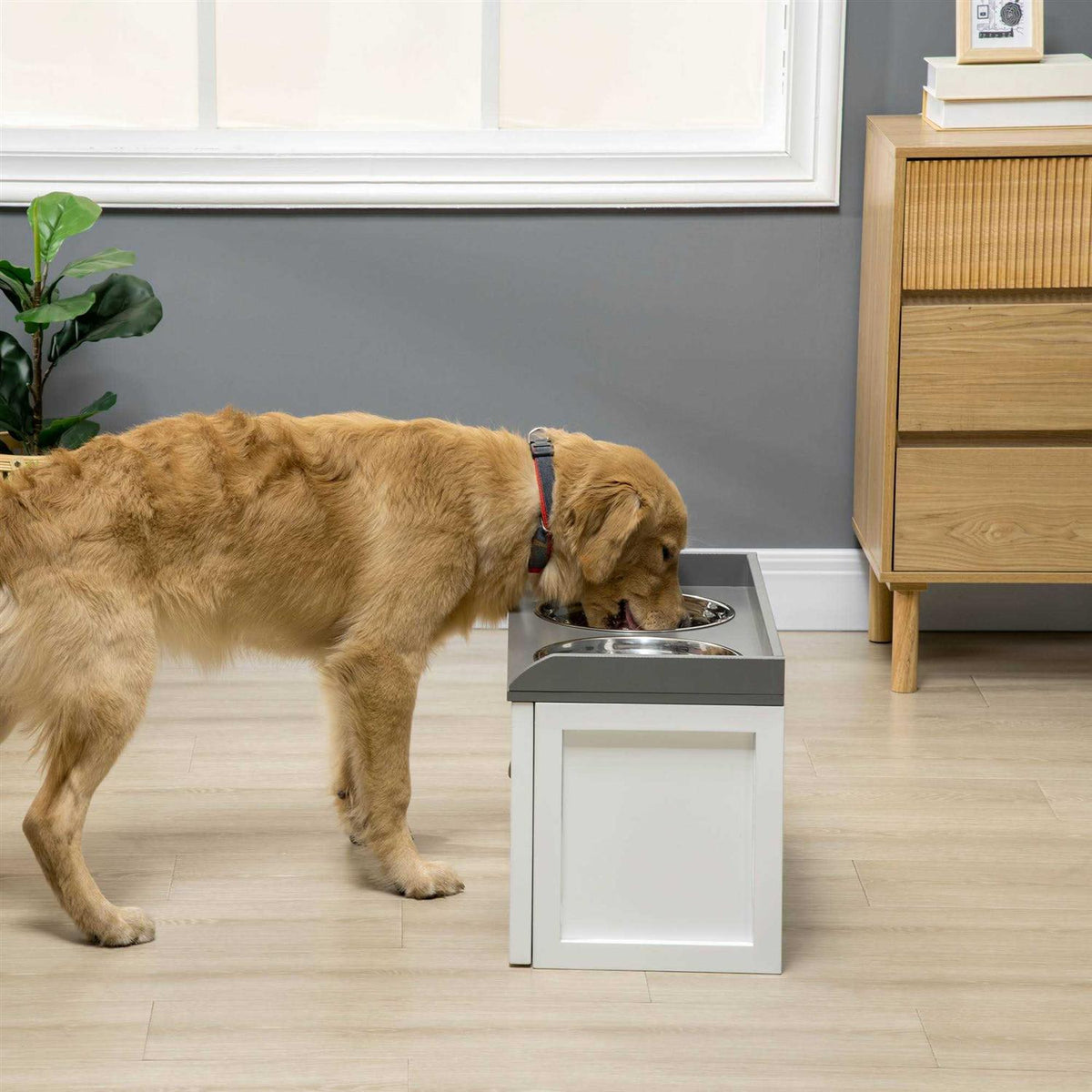 Large Elevated Dog Bowls with Storage Drawer I4630