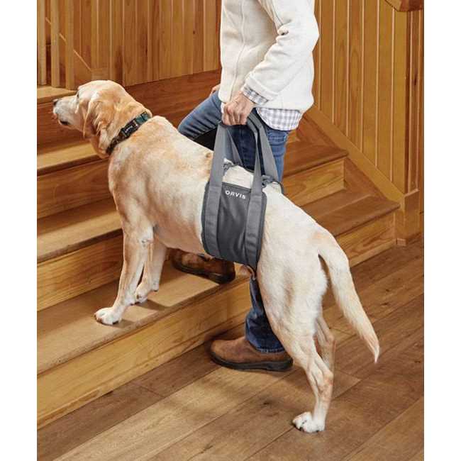 Gray Rear Dog Lift R21057
