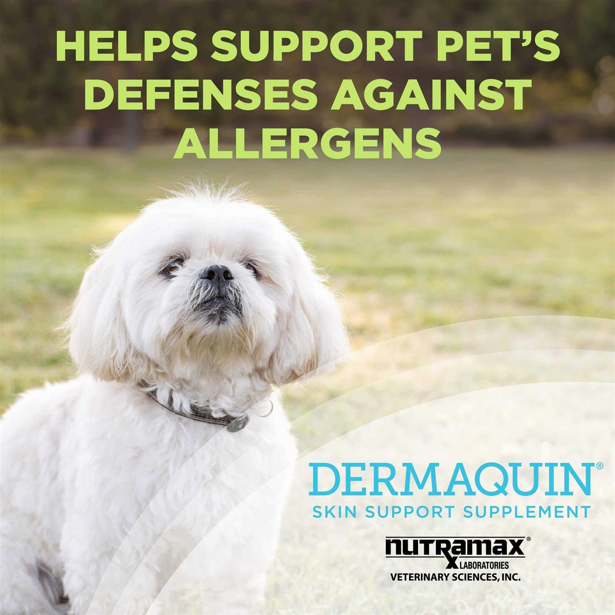 Dermaquin Skin Support Dogs 60 ct P470121