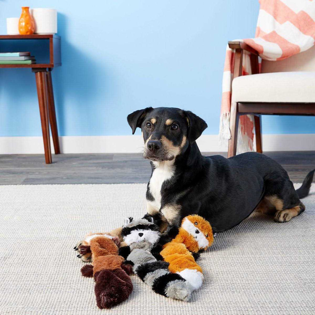 Dog Toy G164121