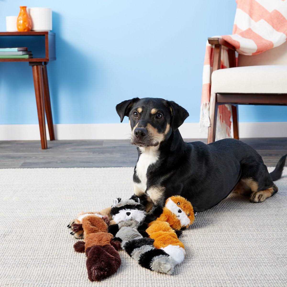 Dog Toy G164121