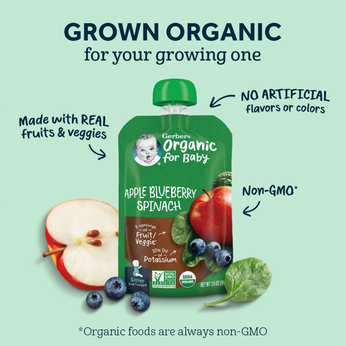 Organic Apple Blueberry Spinach Baby Food 3.5 oz Pouches 12 Pack I840813