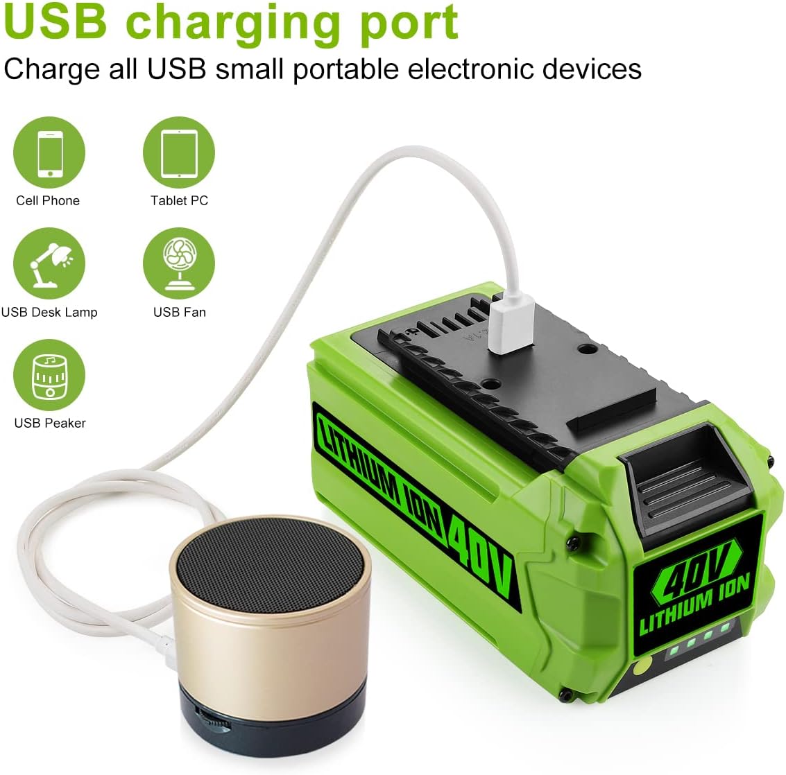40V Lithium Ion Battery Pack of 2 M770232