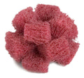 Buff and Blend Cross Buff E67751