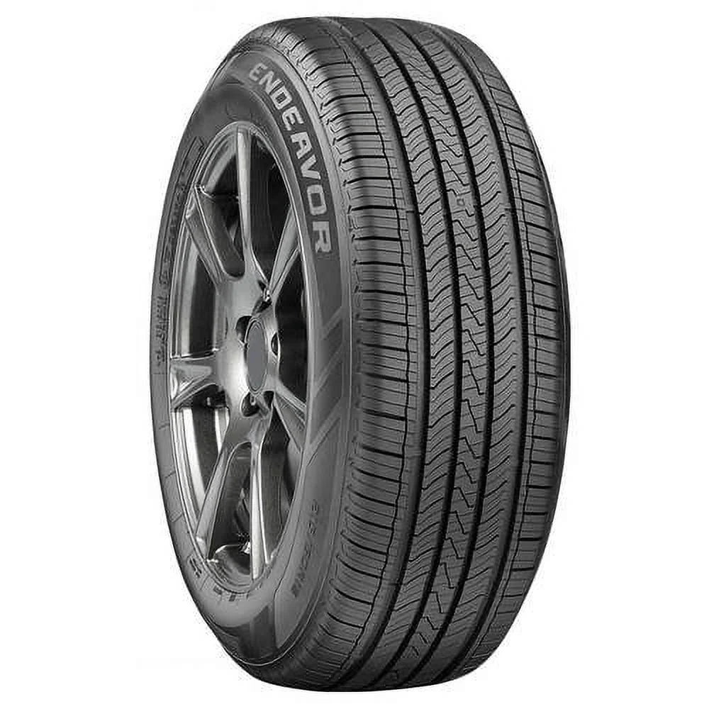All Season 225/60R16 98H Passenger Tire M691