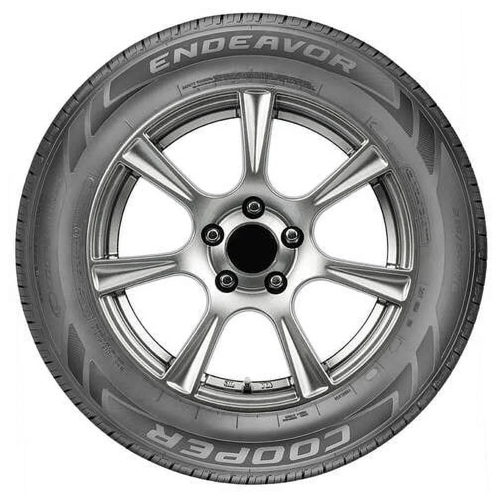 All Season 225/60R16 98H Passenger Tire M691