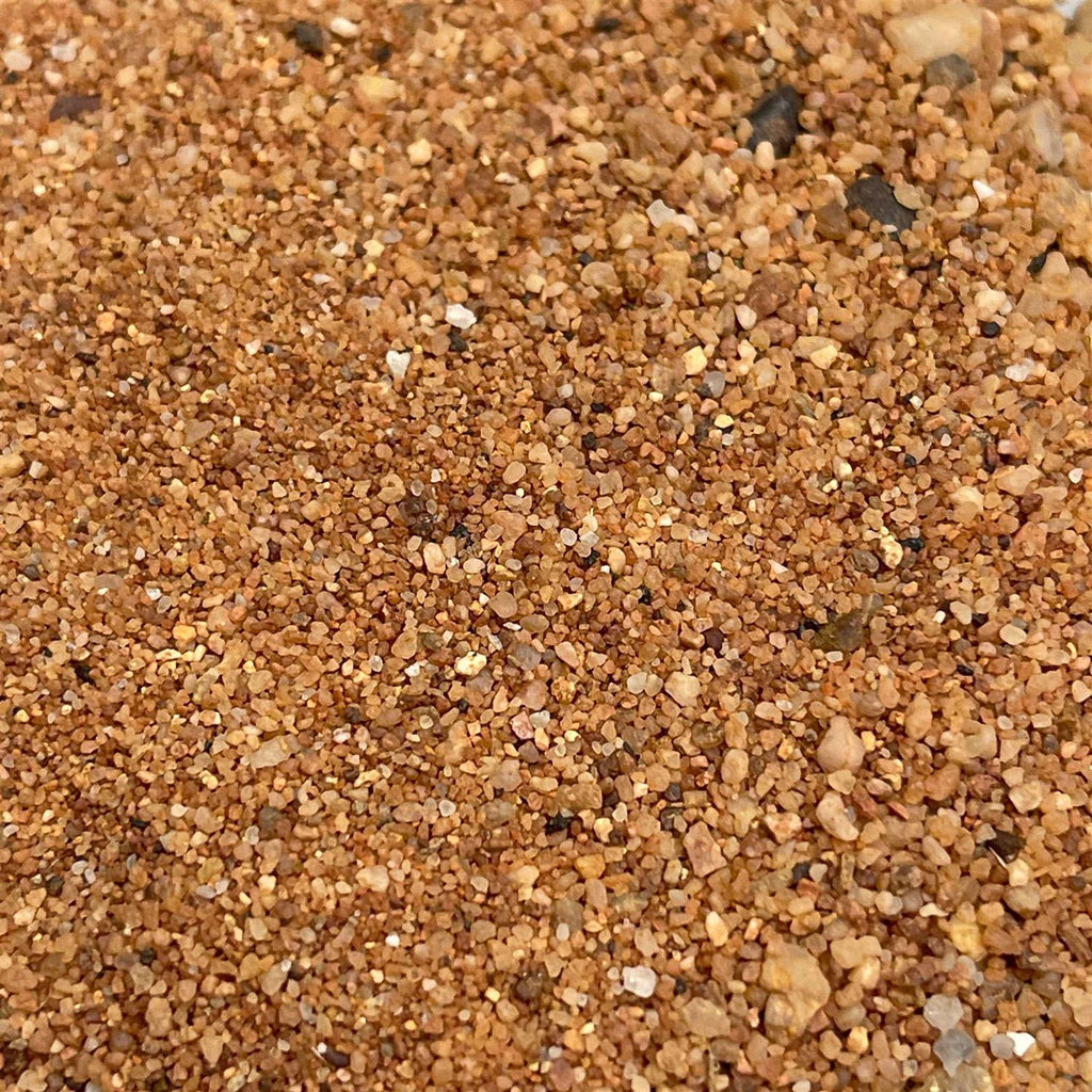 Natural Australian Desert Dragon Habitat Z67323