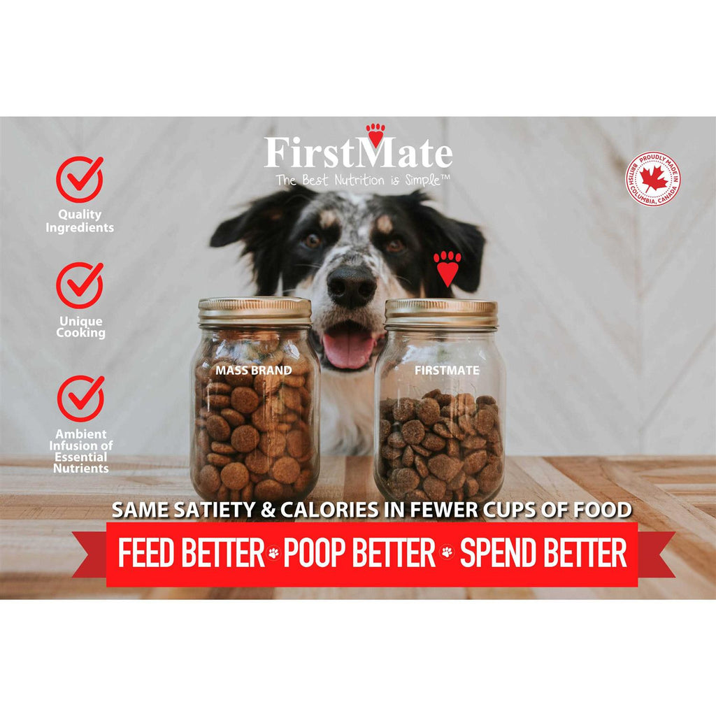 Grain Friendly Dry Dog Food V75304