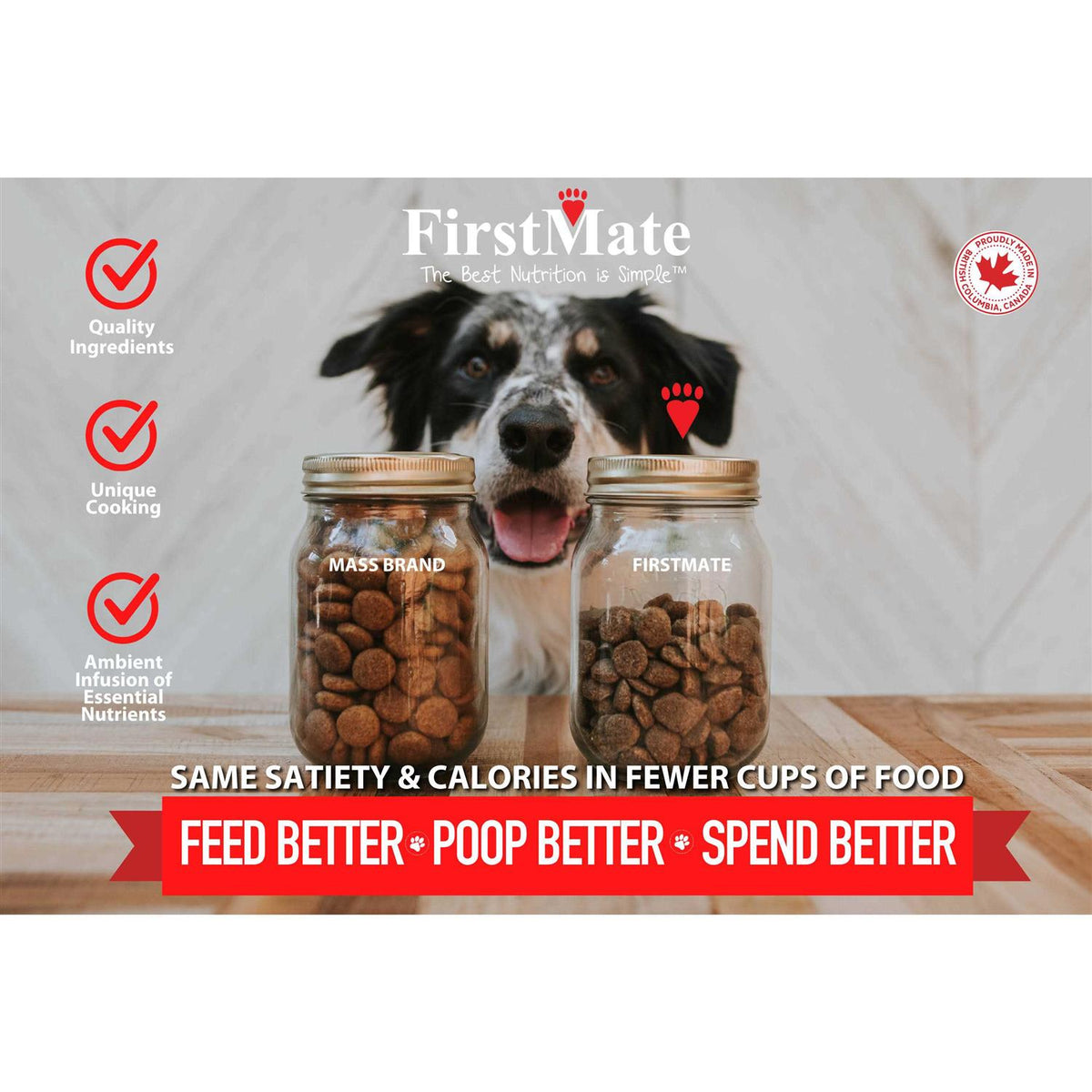 Grain Friendly Dry Dog Food V75304