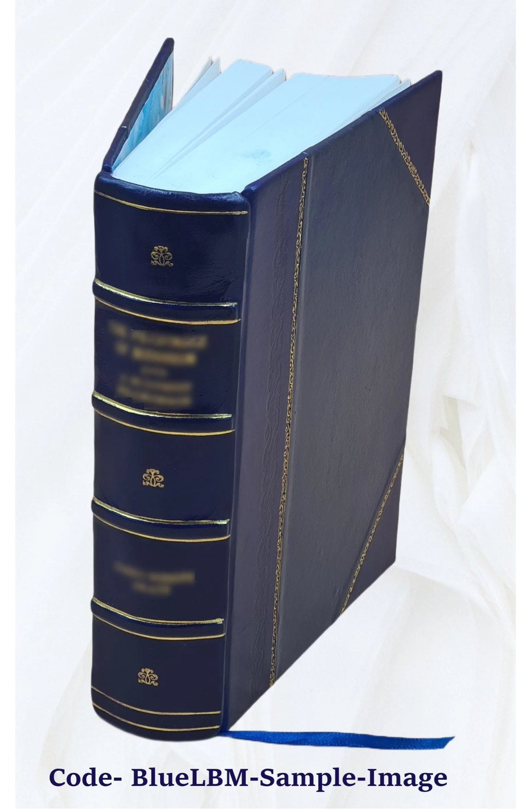 Leather Bound Book W624379