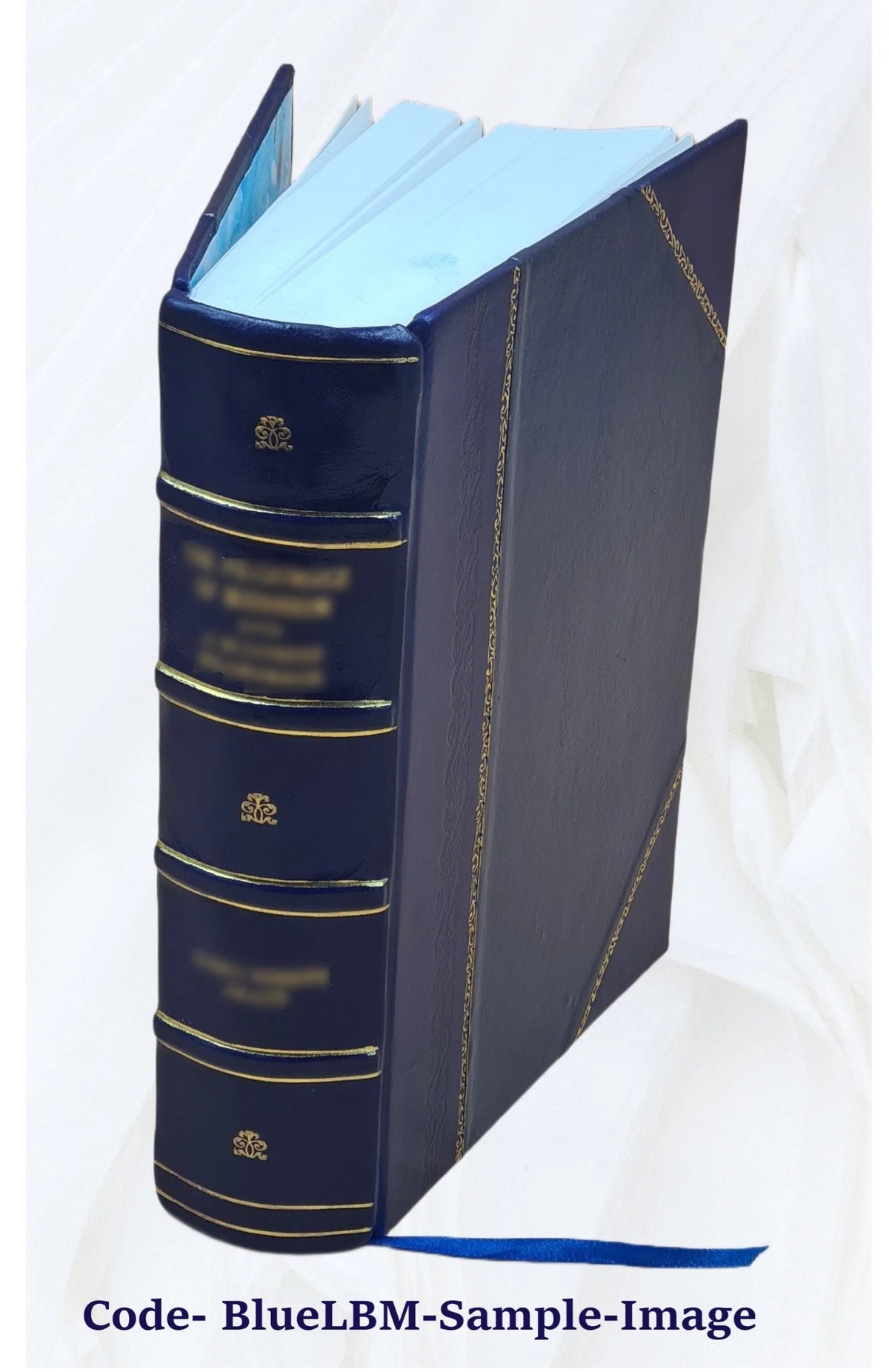 Leather Bound Book W624379