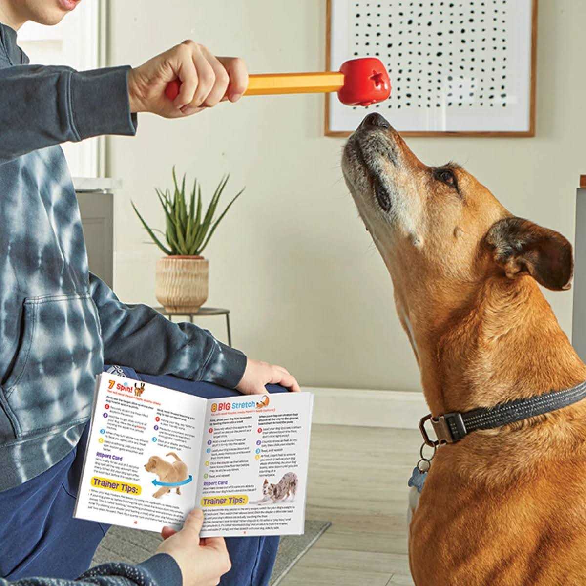 Pet Training Set U108997