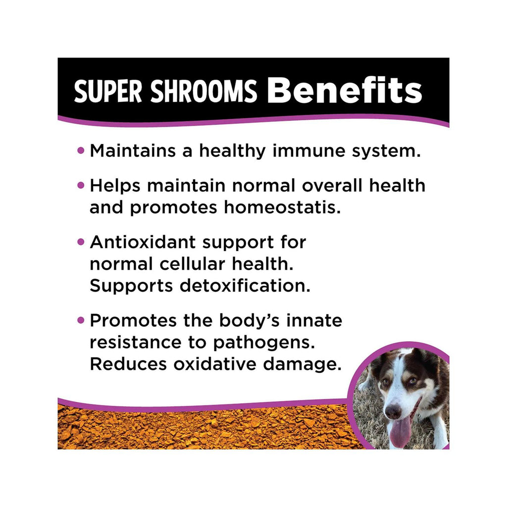 Super Shrooms T262756