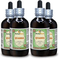 Quassia Dried Wood Alcohol-Free Liquid Extract 4x120 ml I763