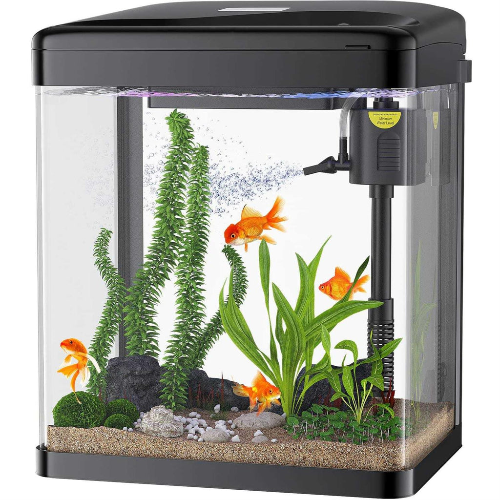 2 Gallon Glass Aquarium with Filter and Light X800625