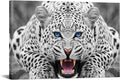 Framed Grey Leopard Canvas Wall Art 16x24 V23080