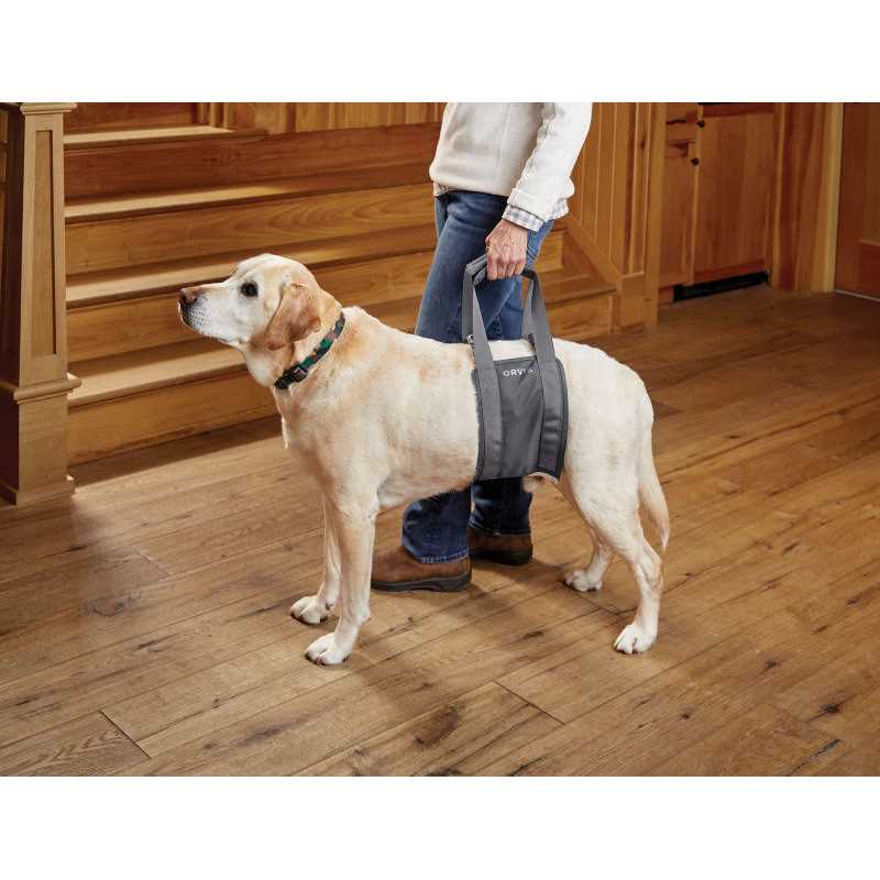 Gray Rear Dog Lift R21057