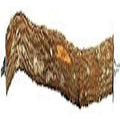 Hardwood Bird Perch P658