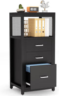 3 Drawer Letter Size File Cabinet with Wire Storage Shelves O912590