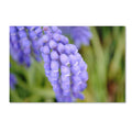 Canvas Art J3864