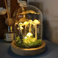 DIY Mushroom Lamp Kit with Glass Dome M300