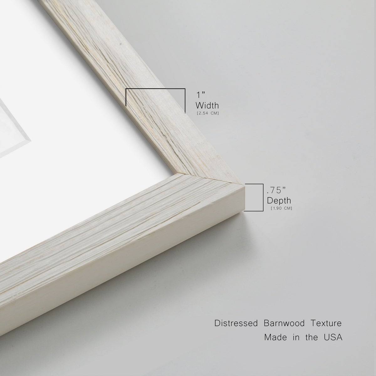 Framed Print - 20x24 - Maple E1544