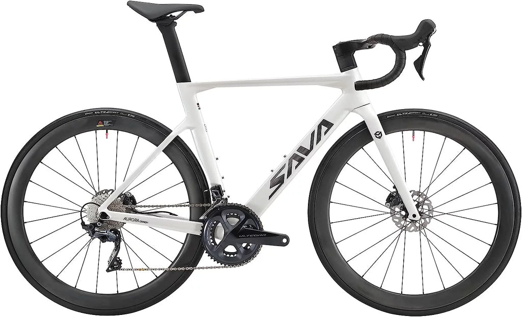 Carbon Fiber 22 Speed Road Bike J9282