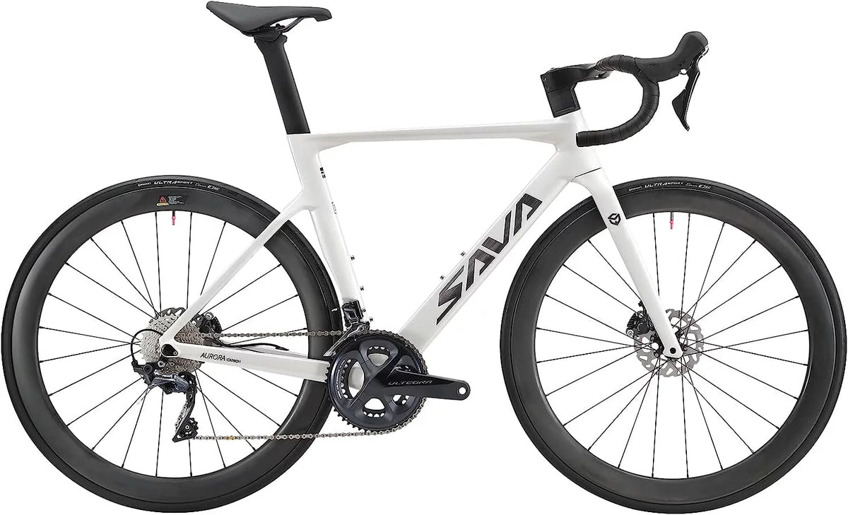 Carbon Fiber 22 Speed Road Bike J9282