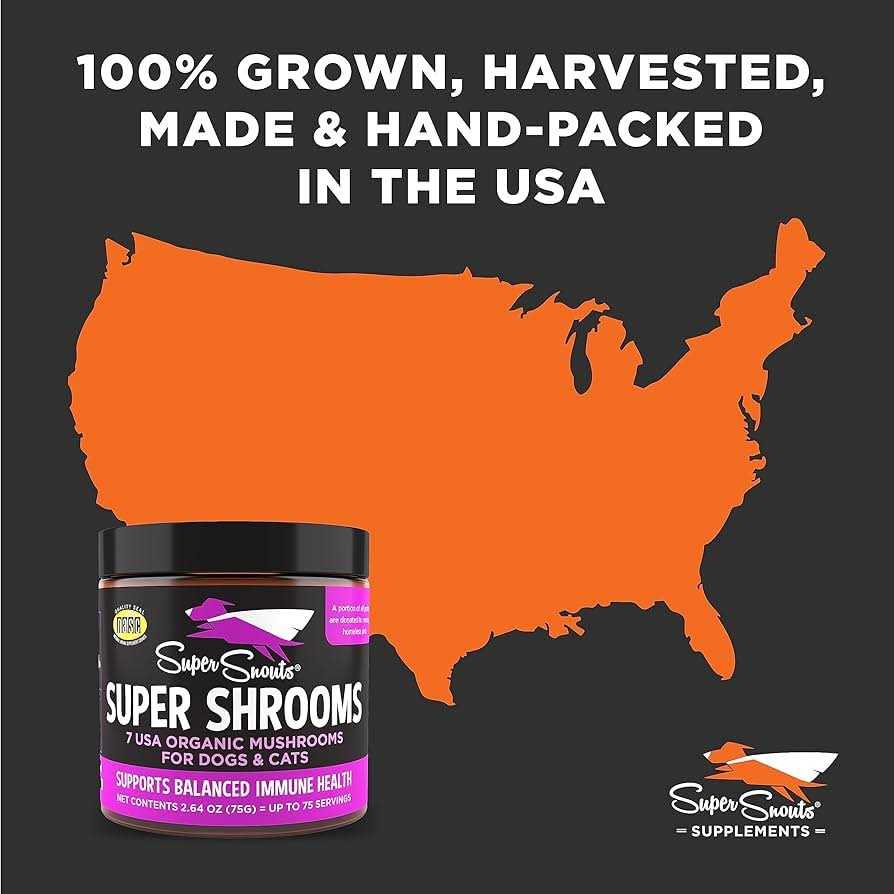 Super Shrooms T262756