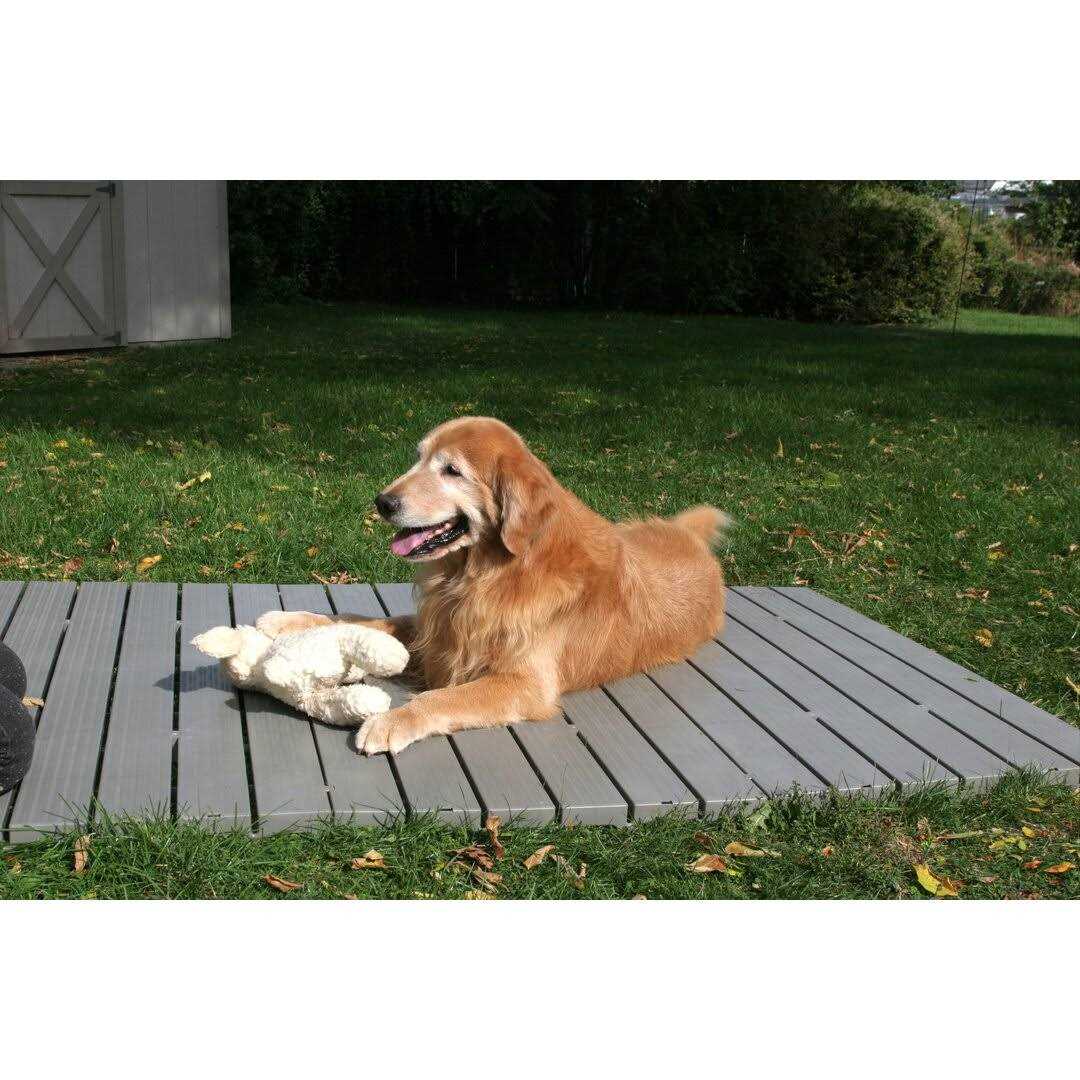 Kennel Deck 1 pack C2607