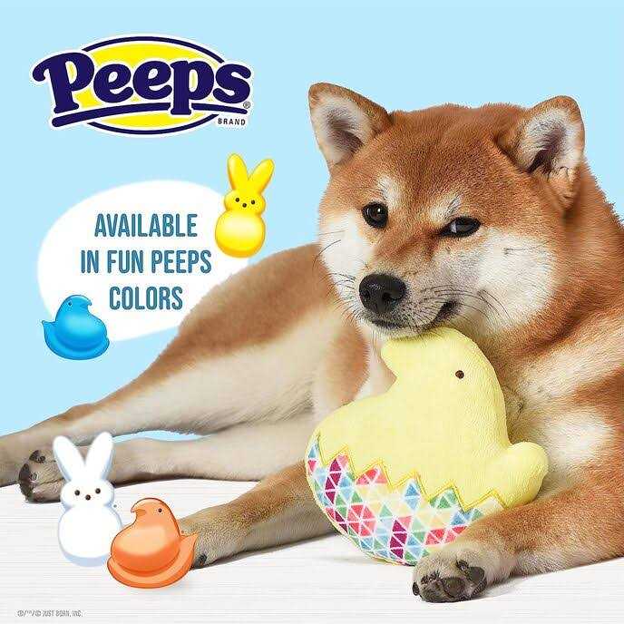 Chick Plush Dog Toy G425